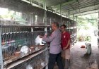 POLRESTA-SIDOARJO-|-Kanit-Binmas-Polsek-Taman-Edukasi-Perawatan-Hewan-Ternak-Guna-Sukseskan-Ketahanan-Pangan