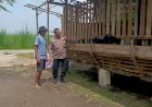 Bhabinkamtibmas-Desa-Bakungpringgodani-Dukung-Ketahanan-Pangan-Lewat-Peternakan-Kambing