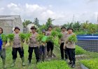 Polsek-Balongbendo-bersama-Warga-Bakungtemenggungan-Panen-Kangkung-di-Pekarangan-Bergizi