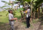 Tingkatkan-Swasembada-Pangan,-Warga-Sidokerto-Didorong-Tanam-Pohon-Pisang