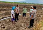 Akan-Ditanami-Jagung,-Kapolsek-Prambon-Turun-Langsung-Cek-Lokasi-Ketahanan-Pangan