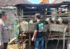 Polisi-Penggerak-Ketahanan-Pangan-Imbau-Warga-Sentul-Jaga-Kebersihan-Kandang-Kambing