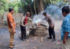 Polsek-Balongbendo-Tindaklanjuti-Aduan-Warga,-Datangi-Arena-Judi-Sabung-Ayam-di-Seketi