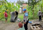 Respon-Keluhan-Warga-Polisi-Bongkar-Arena-Sabung-Ayam-di-Plumbungan-Sukodono