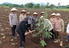 Polresta-Banyuwangi-Dorong-Penguatan-Ketahanan-Pangan-Lewat-Penanaman-Jagung-Kuartal-IV-2025