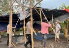 Respon-Cepat-110-Polresta-Sidoarjo-Bongkar-Arena-Sabung-Ayam-di-Ploso-Krembung