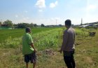 Di-Lahan-Jagung-Desa-Popoh,-Polsek-Wonoayu-Hadir-Menjaga-Harapan-Panen-dan-Ketahanan-Pangan