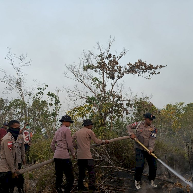Penanganan Karhutla Hari Keenam, Brimob Kembali Turun Di Biak